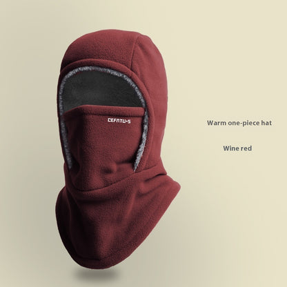Premium Thermal Ski Mask